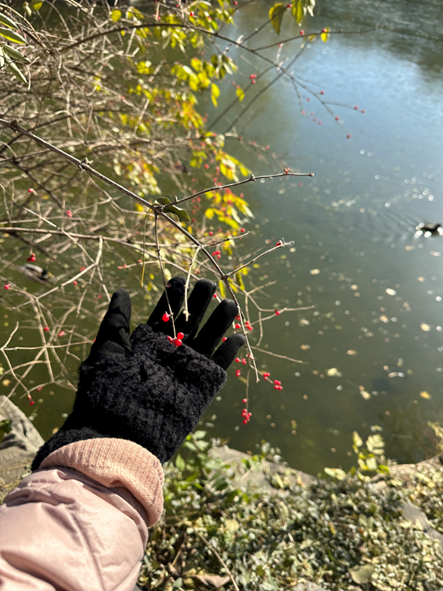 4329a6d8a53642d2a0cf59d1ad3b768a.png 4329a6d8a53642d2a0cf59d1ad3b768a.png