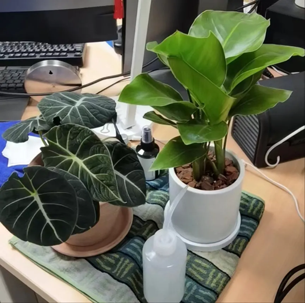 957d546d88e842c28fc644c0d9d5dcd3.png 957d546d88e842c28fc644c0d9d5dcd3.png