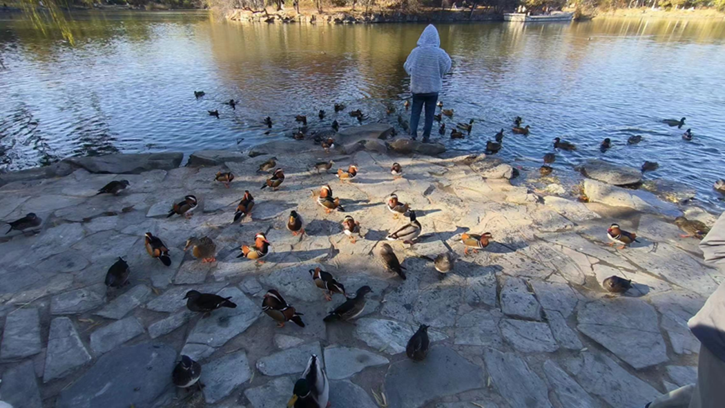 994cd3b42e84443294958701e0fd2b9b.png 994cd3b42e84443294958701e0fd2b9b.png