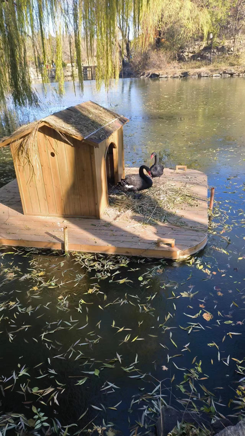 da11061fe0f1406c8c50787849b25099.png da11061fe0f1406c8c50787849b25099.png