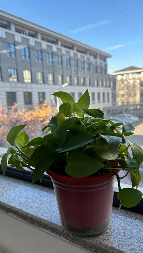 f414126f2aa7492e805517403cf1eb10.png f414126f2aa7492e805517403cf1eb10.png