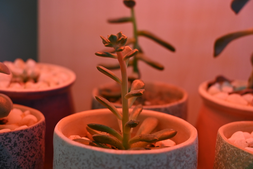 ff11cdba0c1a40b78555682d55ed4d3f.png ff11cdba0c1a40b78555682d55ed4d3f.png