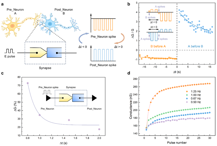 c876cb93154d47de8991a884f442ac3c.png c876cb93154d47de8991a884f442ac3c.png