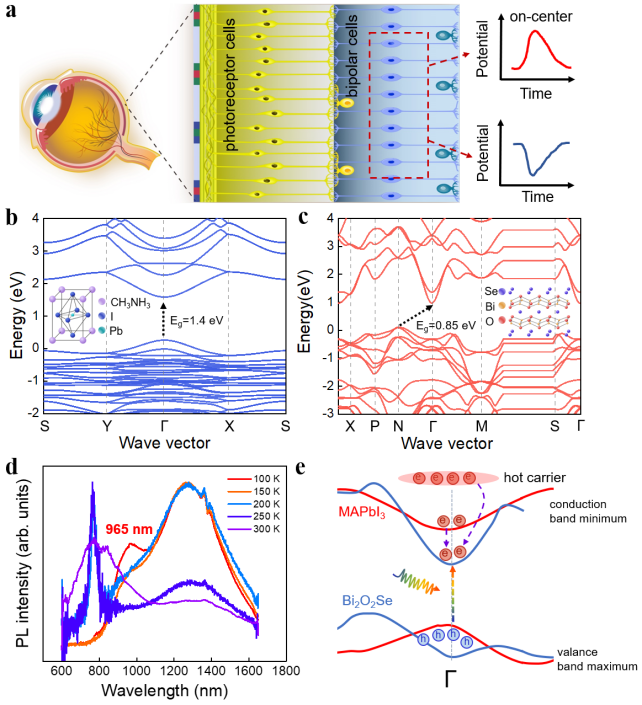 77371d5101284bdf8ae7da14c3e29294.png image.png