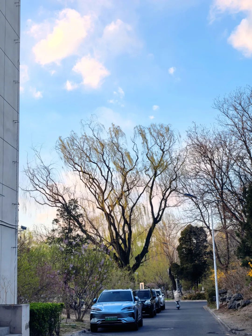 07b1a5b9884b4ebe80df45a0b5bf32fc.png 07b1a5b9884b4ebe80df45a0b5bf32fc.png