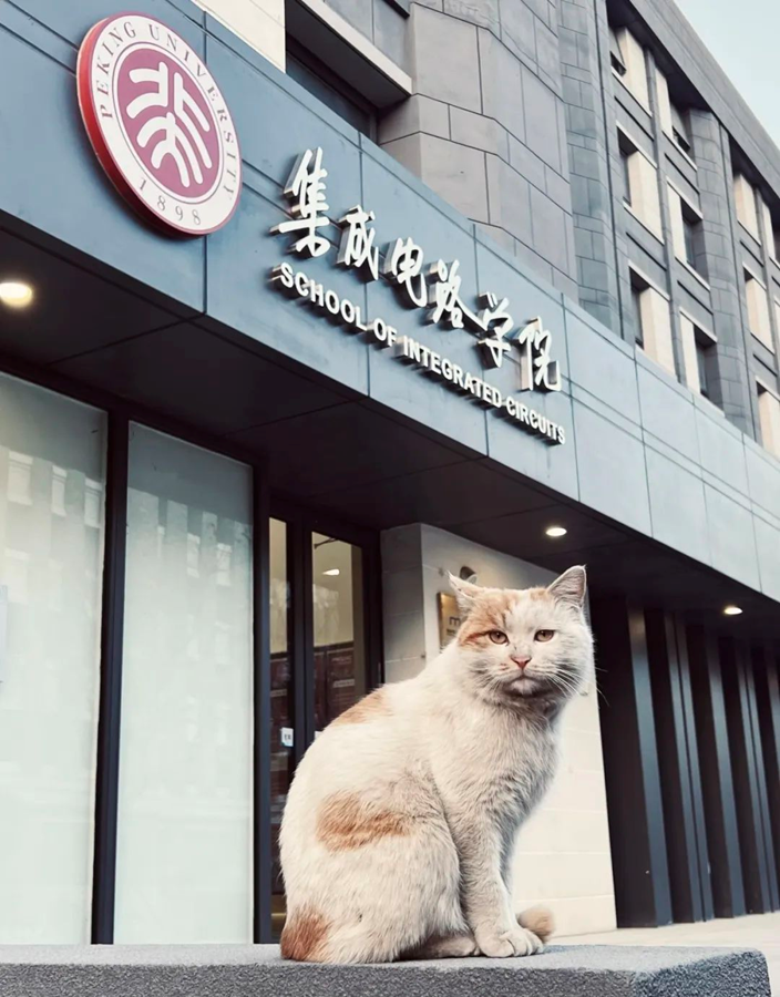 0f34666f6ca34a668b8e7d42098f1ac1.png 0f34666f6ca34a668b8e7d42098f1ac1.png