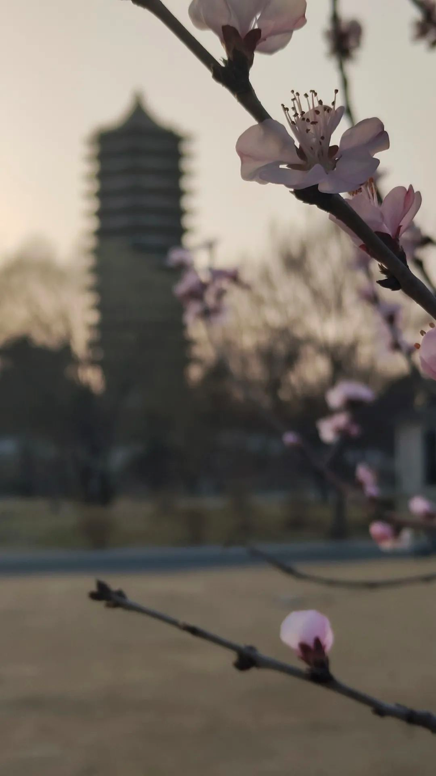 2fc7517709fb42b3ad8a71e836eb9f12.png 2fc7517709fb42b3ad8a71e836eb9f12.png