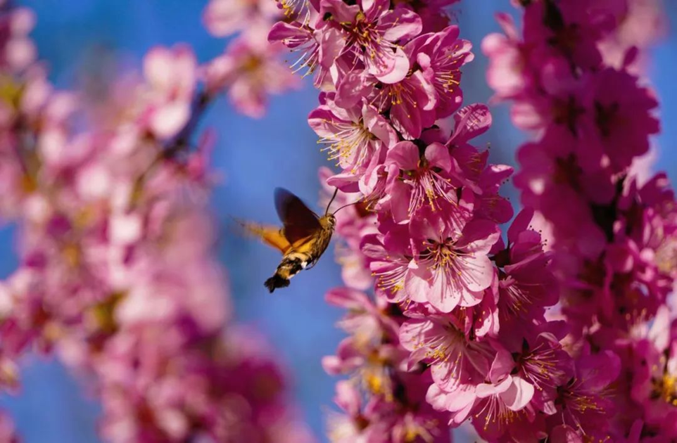 35679b4fb92547a38f8a4c33780493b7.png 35679b4fb92547a38f8a4c33780493b7.png