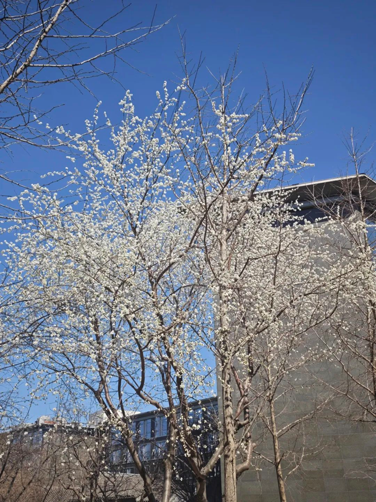 372fe7b6ce8c439db39be0d9fd1f2125.png 372fe7b6ce8c439db39be0d9fd1f2125.png