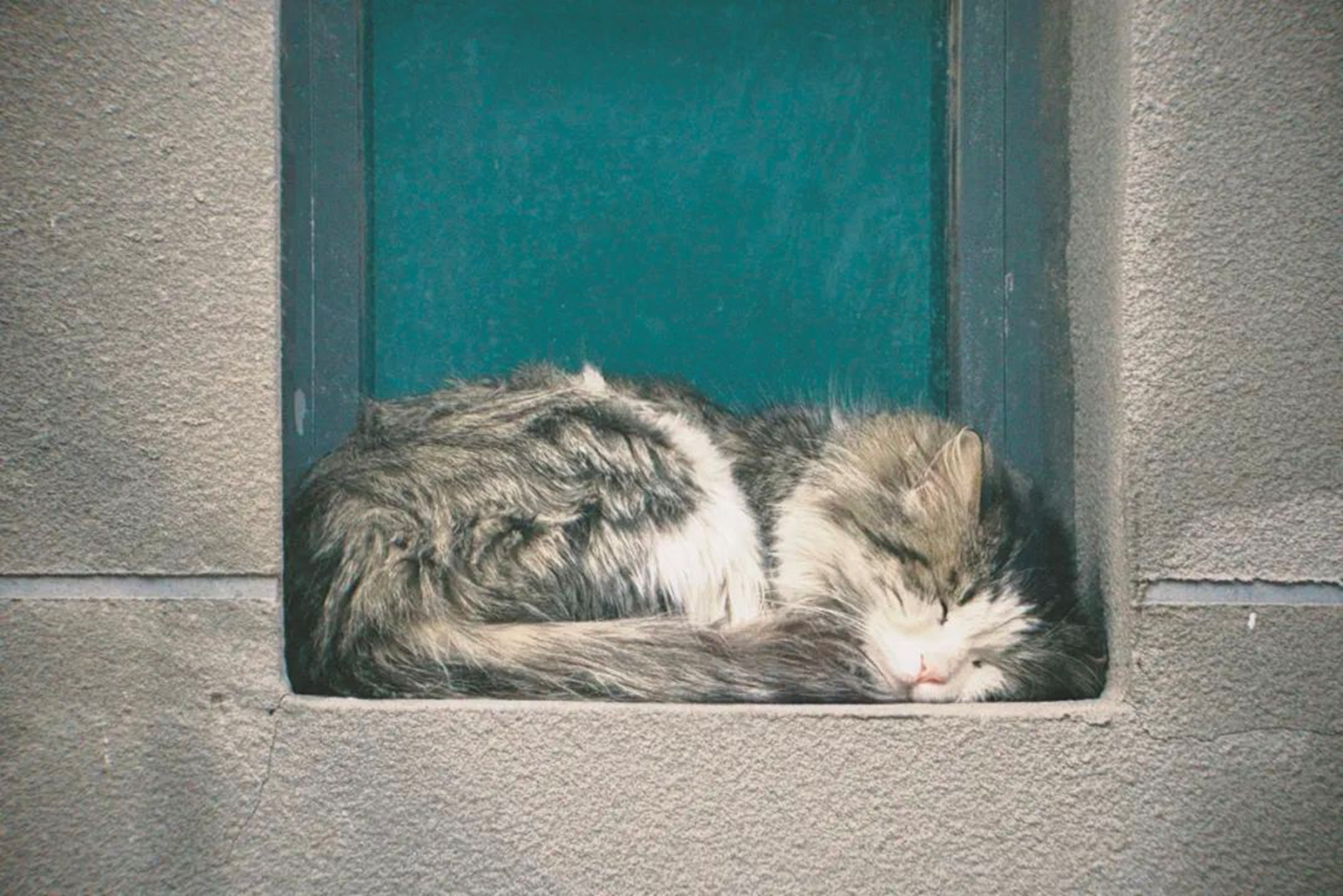 50e6c10968e246ecbe77de9b69d18284.png 50e6c10968e246ecbe77de9b69d18284.png