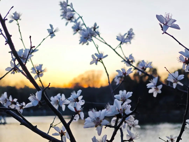 94c3259060ce42a0a5e77017d5f5eaae.png 94c3259060ce42a0a5e77017d5f5eaae.png