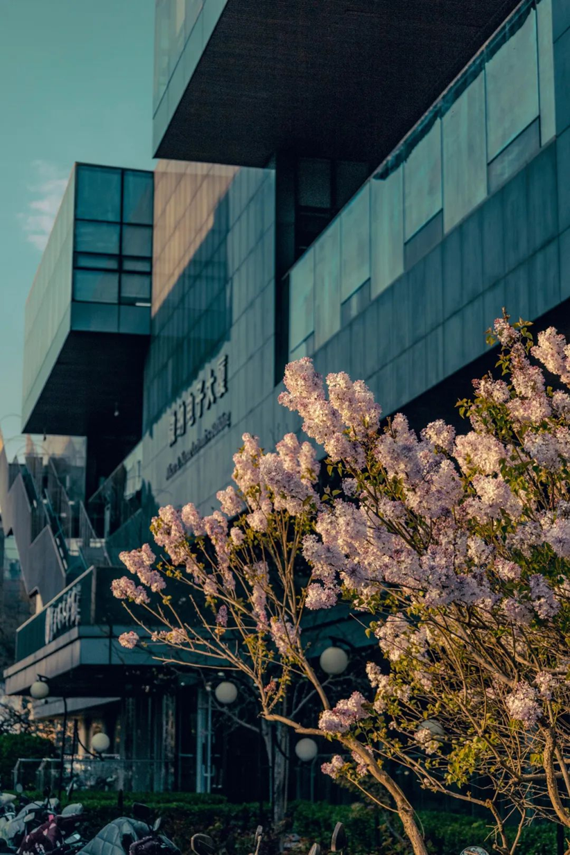 ba68088d88ff4efbb7e11adb4aa109f3.png ba68088d88ff4efbb7e11adb4aa109f3.png