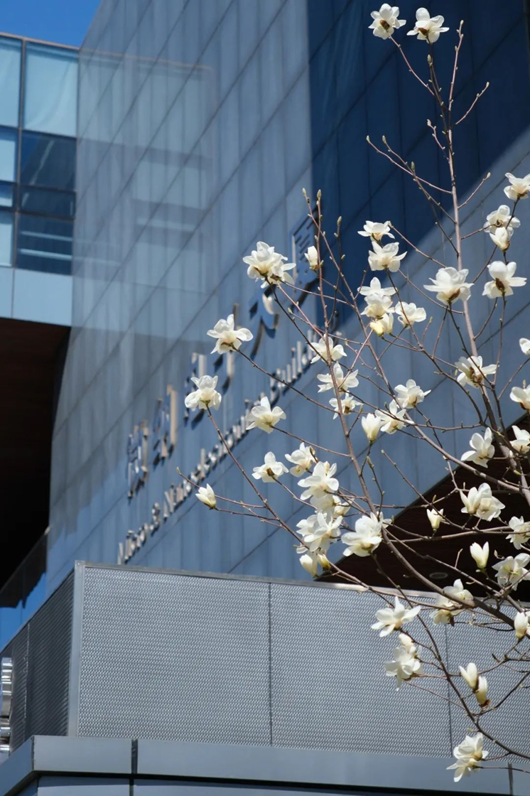 e527f2ed30d143f0a6c1b8ae34819a21.png e527f2ed30d143f0a6c1b8ae34819a21.png