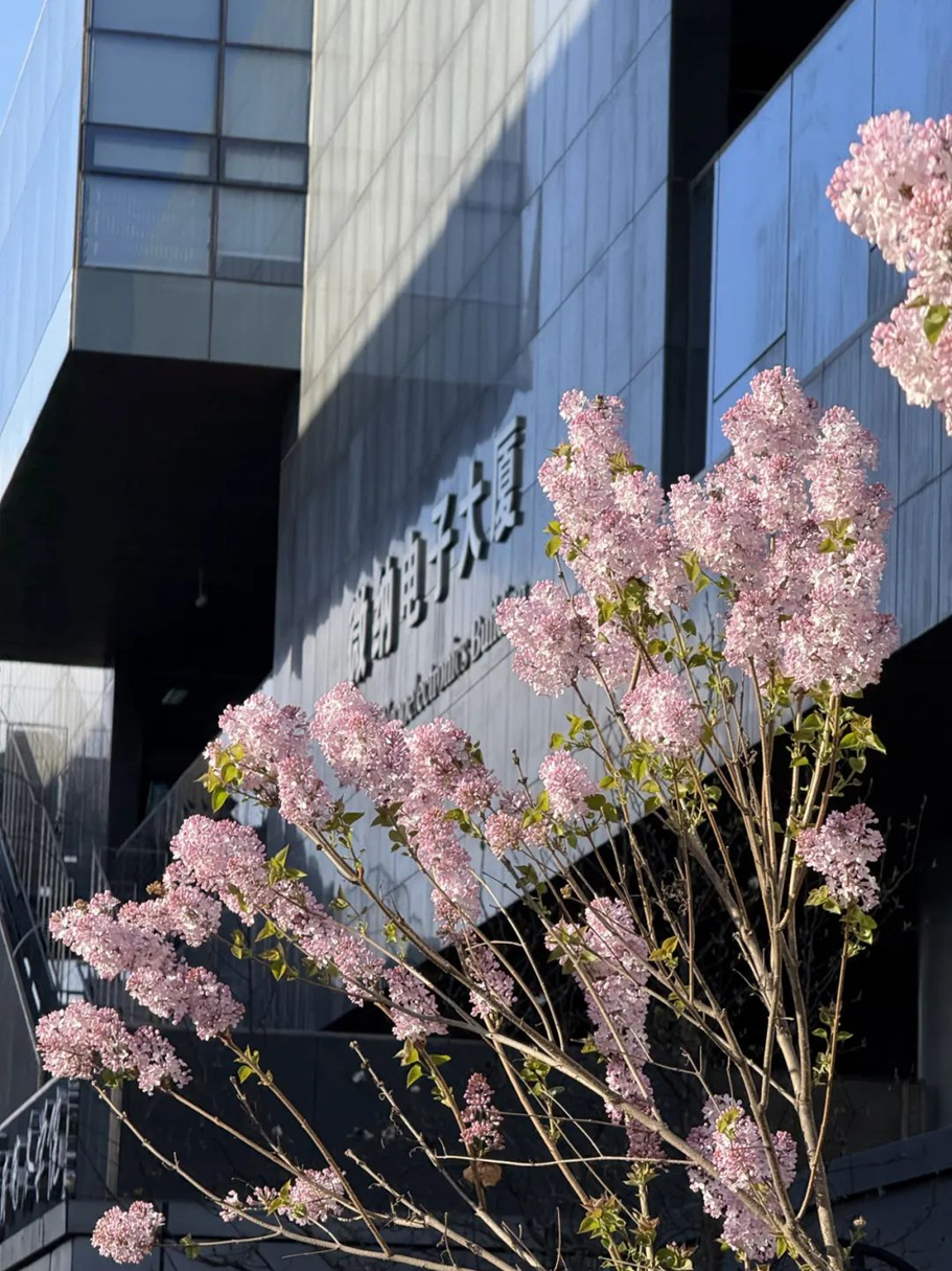 e7ac92a29a0a42f79dcf3e86e4e69b7b.png e7ac92a29a0a42f79dcf3e86e4e69b7b.png