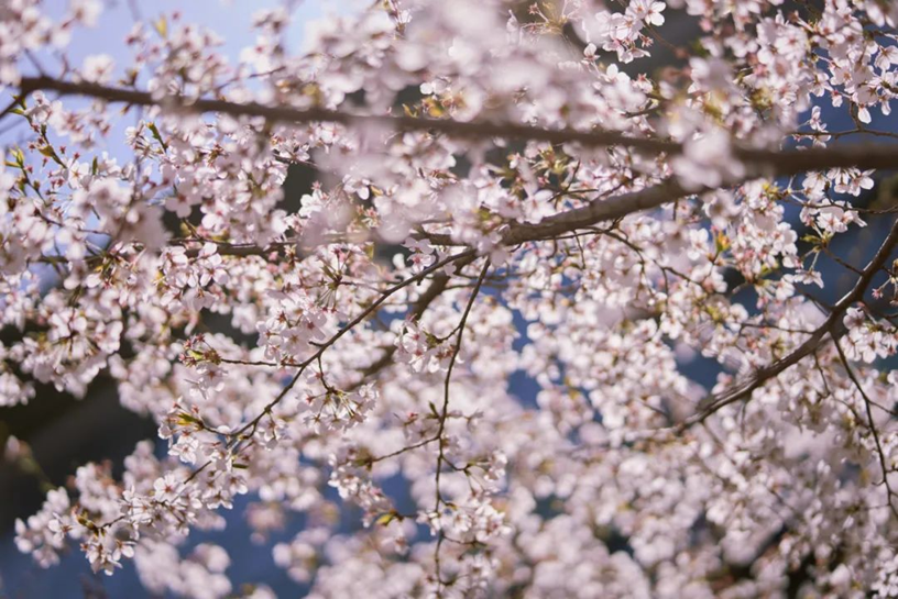 ec5b51e762b04798ac21c06ab8f92cab.png ec5b51e762b04798ac21c06ab8f92cab.png