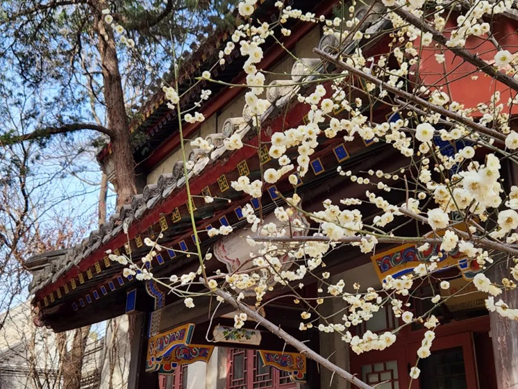 a71fffb61d0a472fb3cbf7170d689e4b.png a71fffb61d0a472fb3cbf7170d689e4b.png