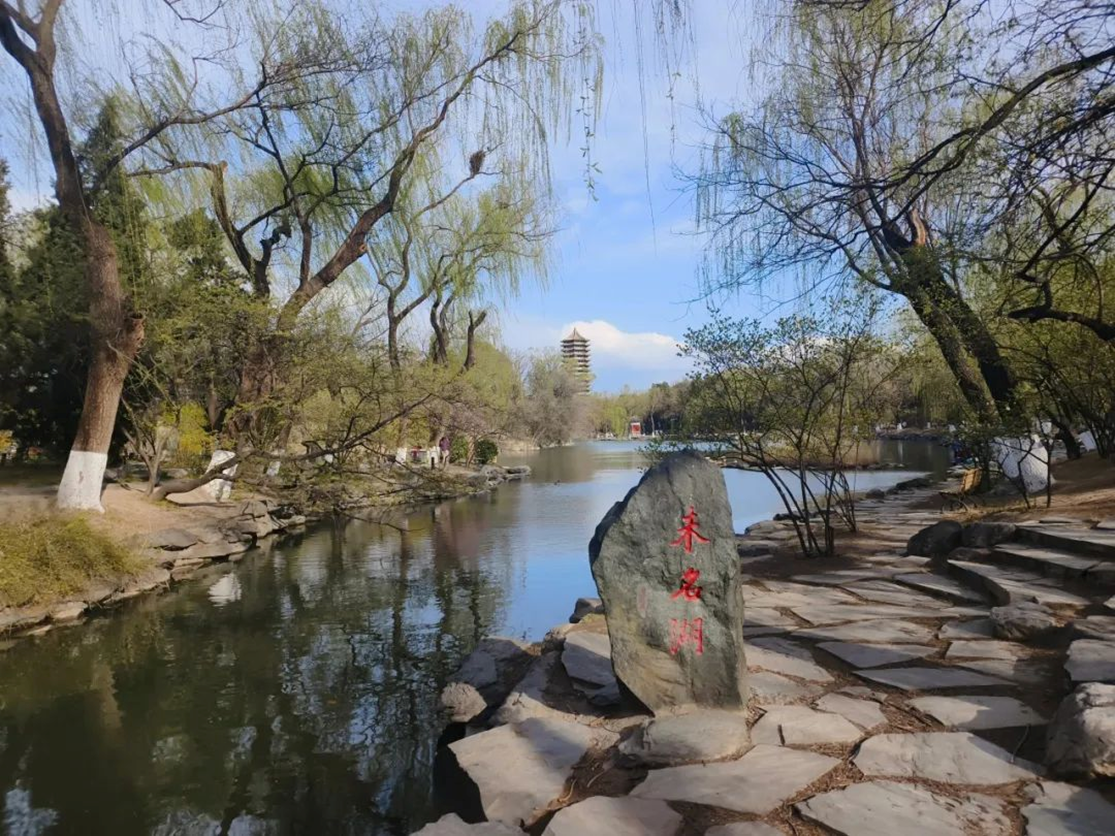 424f6acc48074c7fac9fa8975886e579.png 424f6acc48074c7fac9fa8975886e579.png