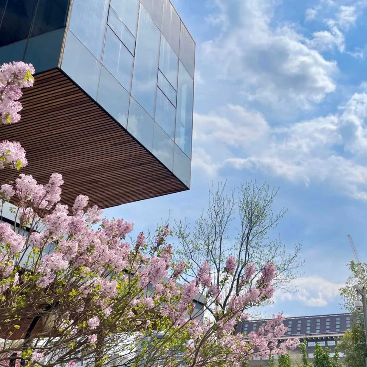 749be13120654304947720882a37f7ef.png 749be13120654304947720882a37f7ef.png